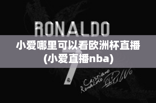 小爱哪里可以看欧洲杯直播(小爱直播nba)