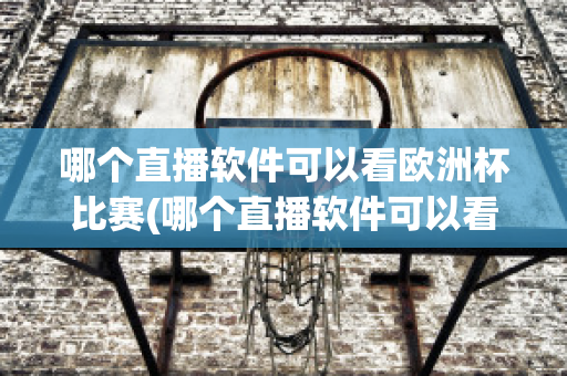 哪个直播软件可以看欧洲杯比赛(哪个直播软件可以看欧洲杯比赛视频)