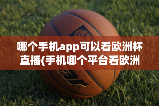 哪个手机app可以看欧洲杯直播(手机哪个平台看欧洲杯)