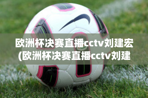 欧洲杯决赛直播cctv刘建宏(欧洲杯决赛直播cctv刘建宏回放)