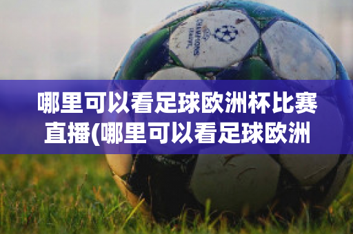 哪里可以看足球欧洲杯比赛直播(哪里可以看足球欧洲杯比赛直播回放)