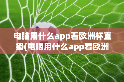 电脑用什么app看欧洲杯直播(电脑用什么app看欧洲杯直播视频)