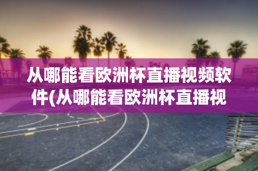 从哪能看欧洲杯直播视频软件(从哪能看欧洲杯直播视频软件免费)