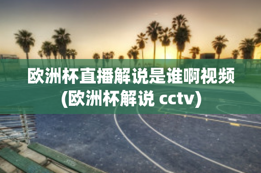 欧洲杯直播解说是谁啊视频(欧洲杯解说 cctv)