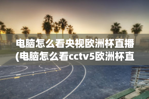 电脑怎么看央视欧洲杯直播(电脑怎么看cctv5欧洲杯直播)