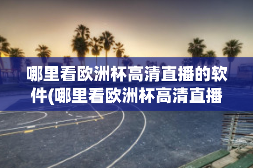 哪里看欧洲杯高清直播的软件(哪里看欧洲杯高清直播的软件免费)