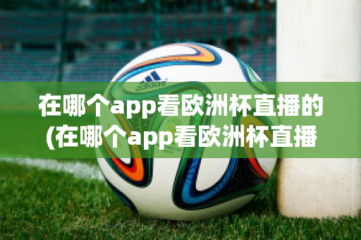 在哪个app看欧洲杯直播的(在哪个app看欧洲杯直播的直播)