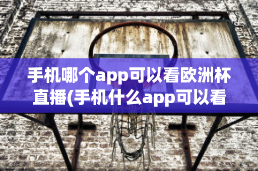 手机哪个app可以看欧洲杯直播(手机什么app可以看欧洲杯直播)