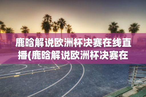 鹿晗解说欧洲杯决赛在线直播(鹿晗解说欧洲杯决赛在线直播观看)