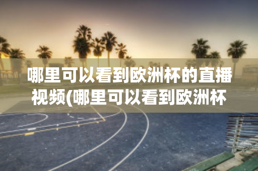 哪里可以看到欧洲杯的直播视频(哪里可以看到欧洲杯的直播视频回放)