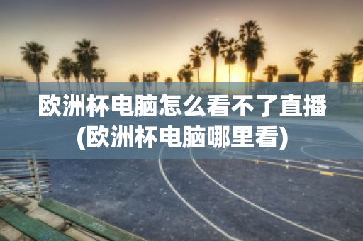 欧洲杯电脑怎么看不了直播(欧洲杯电脑哪里看)