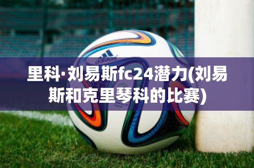 里科·刘易斯fc24潜力(刘易斯和克里琴科的比赛)