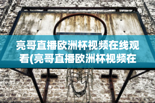 亮哥直播欧洲杯视频在线观看(亮哥直播欧洲杯视频在线观看下载)