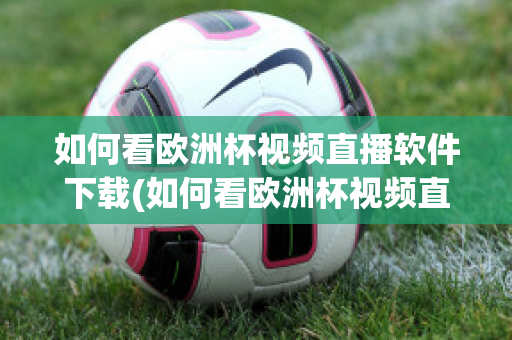 如何看欧洲杯视频直播软件下载(如何看欧洲杯视频直播软件下载安卓)