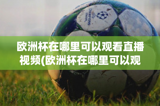 欧洲杯在哪里可以观看直播视频(欧洲杯在哪里可以观看直播视频啊)