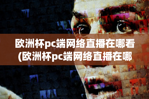 欧洲杯pc端网络直播在哪看(欧洲杯pc端网络直播在哪看回放)