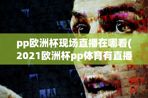 pp欧洲杯现场直播在哪看(2021欧洲杯pp体育有直播吗)