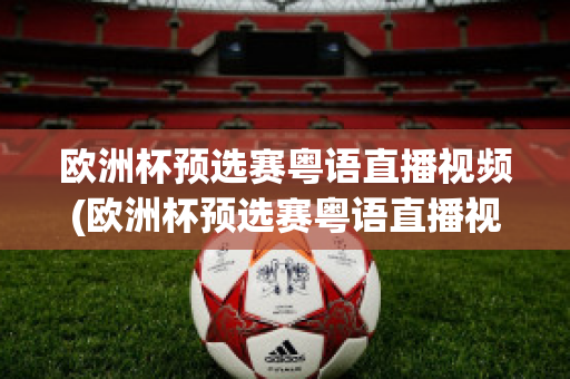 欧洲杯预选赛粤语直播视频(欧洲杯预选赛粤语直播视频回放)