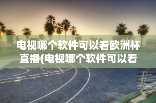 电视哪个软件可以看欧洲杯直播(电视哪个软件可以看欧洲杯直播回放)