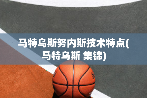 马特乌斯努内斯技术特点(马特乌斯 集锦)