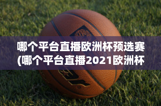 哪个平台直播欧洲杯预选赛(哪个平台直播2021欧洲杯)