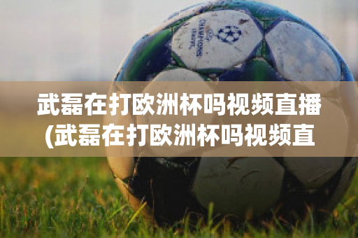 武磊在打欧洲杯吗视频直播(武磊在打欧洲杯吗视频直播在线观看)