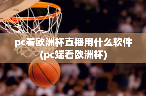 pc看欧洲杯直播用什么软件(pc端看欧洲杯)