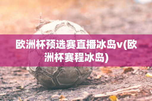 欧洲杯预选赛直播冰岛v(欧洲杯赛程冰岛)