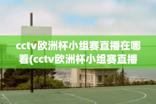 cctv欧洲杯小组赛直播在哪看(cctv欧洲杯小组赛直播在哪看回放)