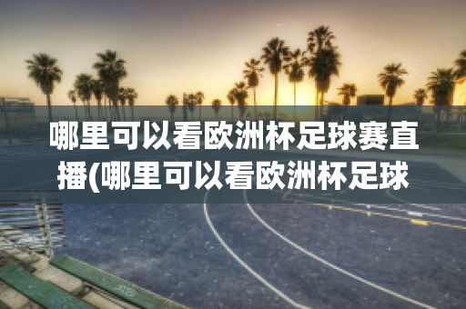 哪里可以看欧洲杯足球赛直播(哪里可以看欧洲杯足球赛直播视频)