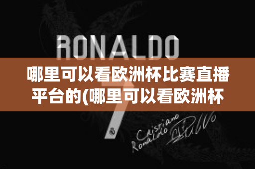 哪里可以看欧洲杯比赛直播平台的(哪里可以看欧洲杯比赛直播平台的软件)