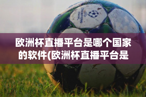 欧洲杯直播平台是哪个国家的软件(欧洲杯直播平台是哪个国家的软件下载)