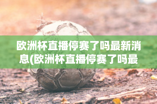 欧洲杯直播停赛了吗最新消息(欧洲杯直播停赛了吗最新消息新闻)