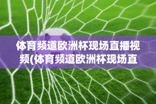 体育频道欧洲杯现场直播视频(体育频道欧洲杯现场直播视频在线观看)