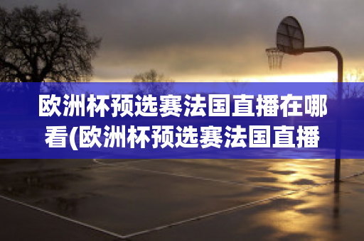 欧洲杯预选赛法国直播在哪看(欧洲杯预选赛法国直播在哪看回放)