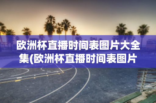 欧洲杯直播时间表图片大全集(欧洲杯直播时间表图片大全集高清)