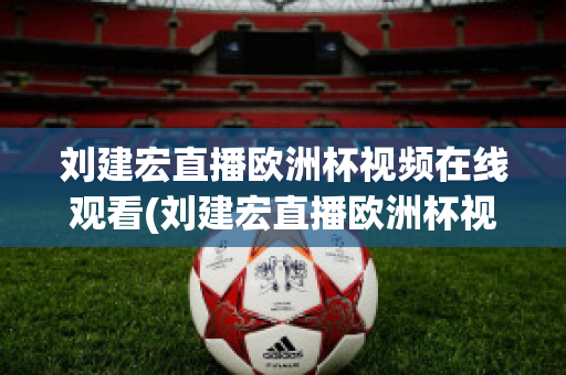 刘建宏直播欧洲杯视频在线观看(刘建宏直播欧洲杯视频在线观看下载)