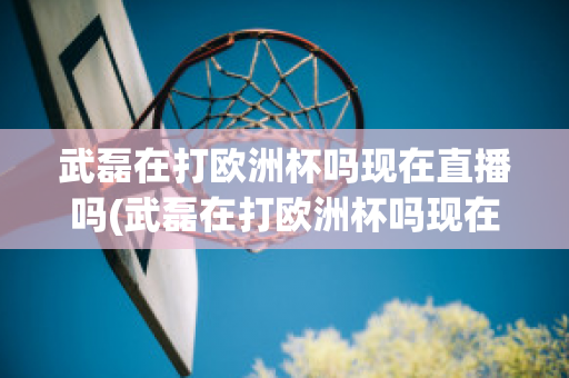 武磊在打欧洲杯吗现在直播吗(武磊在打欧洲杯吗现在直播吗)