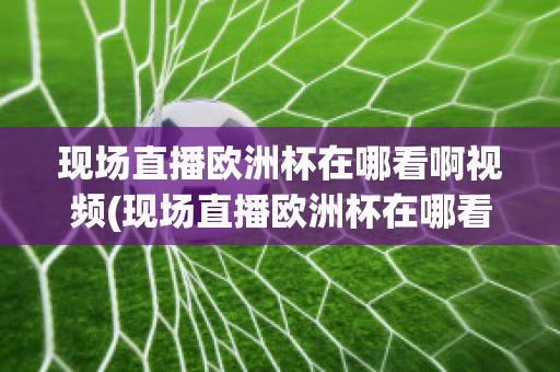 现场直播欧洲杯在哪看啊视频(现场直播欧洲杯在哪看啊视频回放)