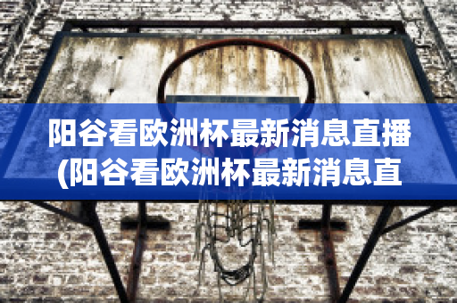 阳谷看欧洲杯最新消息直播(阳谷看欧洲杯最新消息直播回放)