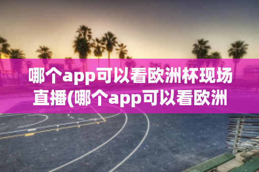 哪个app可以看欧洲杯现场直播(哪个app可以看欧洲杯现场直播回放)