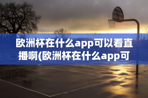 欧洲杯在什么app可以看直播啊(欧洲杯在什么app可以看直播啊知乎)