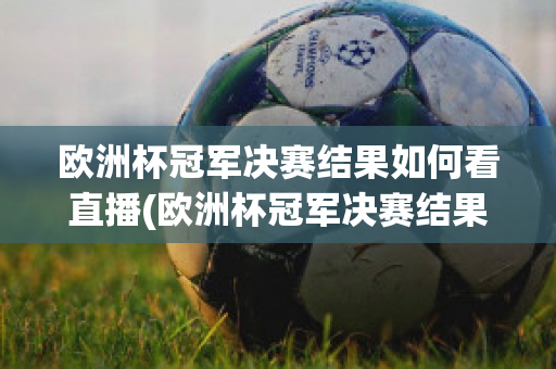 欧洲杯冠军决赛结果如何看直播(欧洲杯冠军决赛结果如何看直播视频)