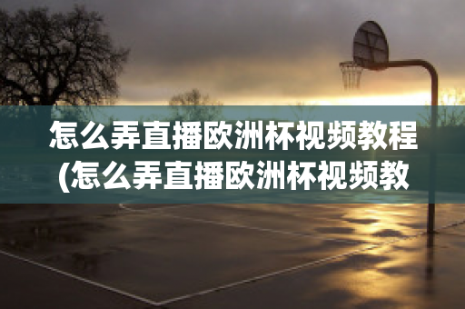 怎么弄直播欧洲杯视频教程(怎么弄直播欧洲杯视频教程手机)