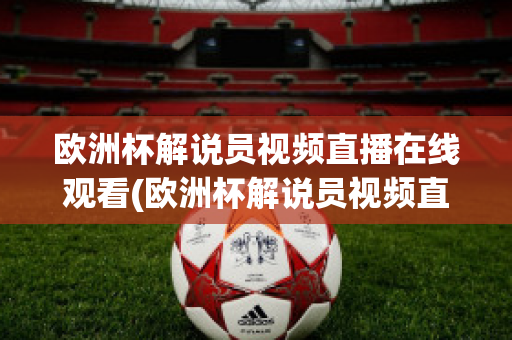 欧洲杯解说员视频直播在线观看(欧洲杯解说员视频直播在线观看下载)