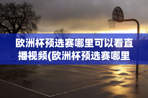 欧洲杯预选赛哪里可以看直播视频(欧洲杯预选赛哪里可以看直播视频啊)