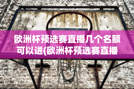 欧洲杯预选赛直播几个名额可以进(欧洲杯预选赛直播几个名额可以进国家队)