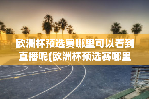 欧洲杯预选赛哪里可以看到直播呢(欧洲杯预选赛哪里可以看到直播呢英文)