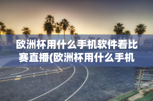 欧洲杯用什么手机软件看比赛直播(欧洲杯用什么手机软件看比赛直播好)