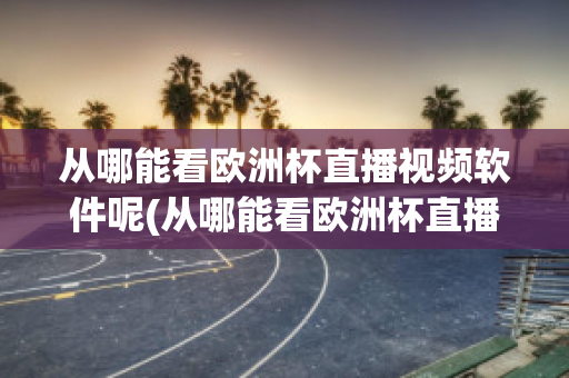 从哪能看欧洲杯直播视频软件呢(从哪能看欧洲杯直播视频软件呢知乎)